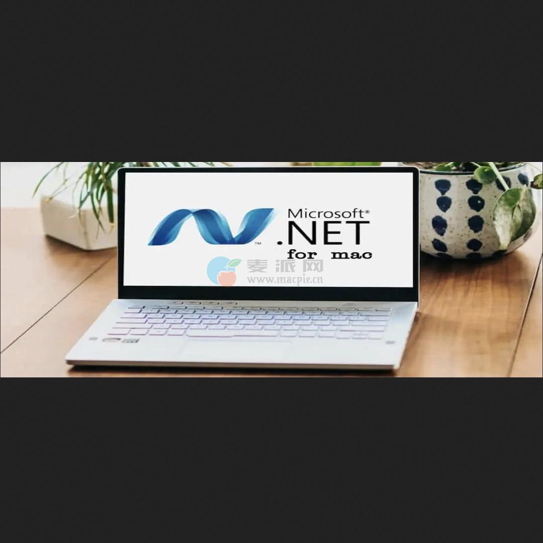 Microsoft .NET v10.0.102[X64/Arm64]