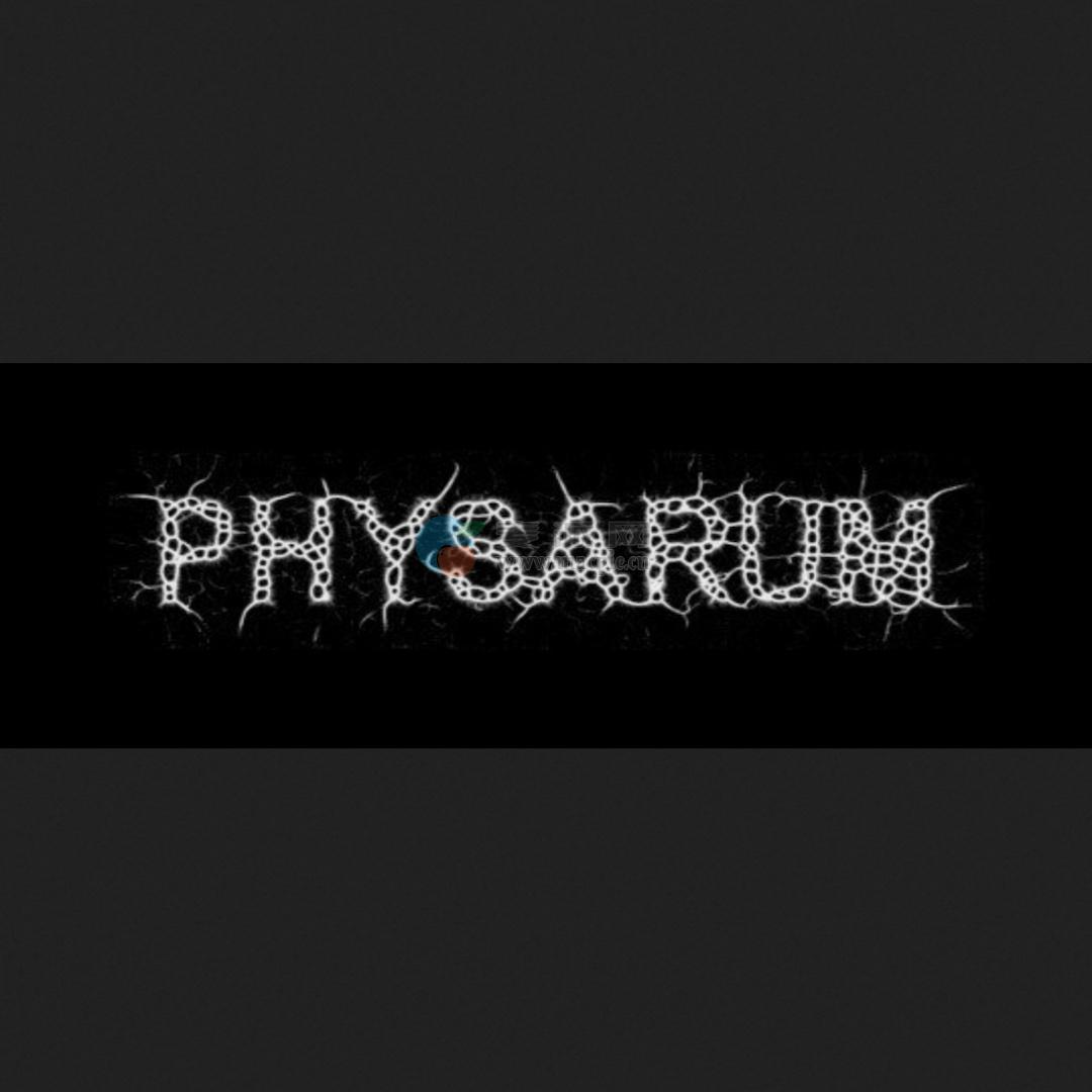 Physarum v1.3 fix