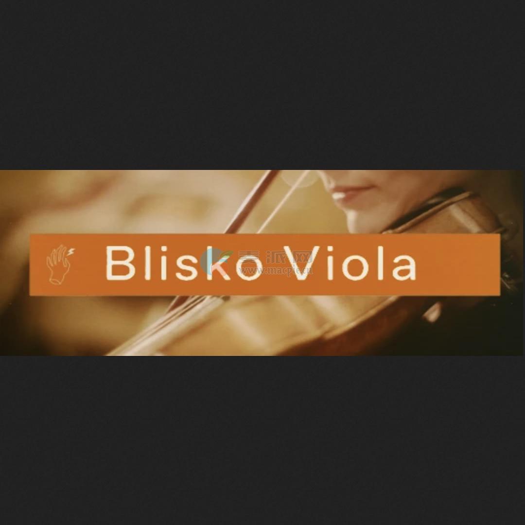 Felt Instruments Blisko Viola v1.1.84
