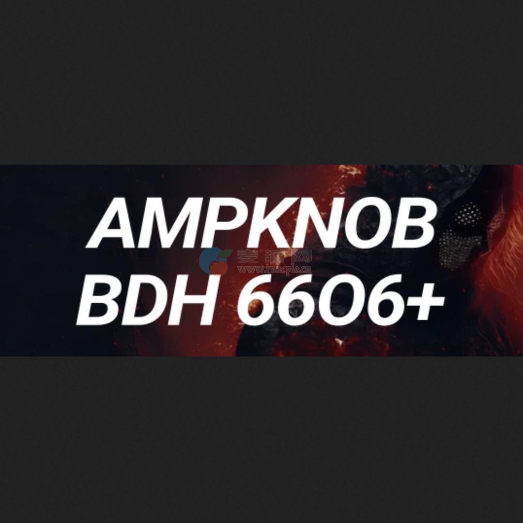 Bogren Digital Ampknob BDH 6606+ v1.2.118
