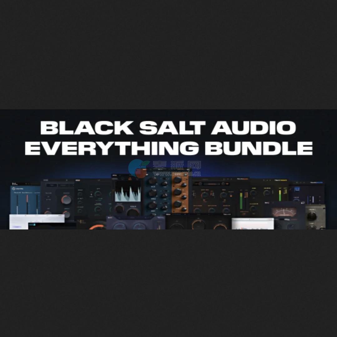 Black Salt Audio Everything Bundle v05.2026[Xdb]